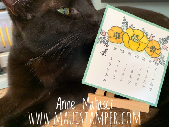 MauiStamper Stampin' Up! All That You Are March 2019 DIY